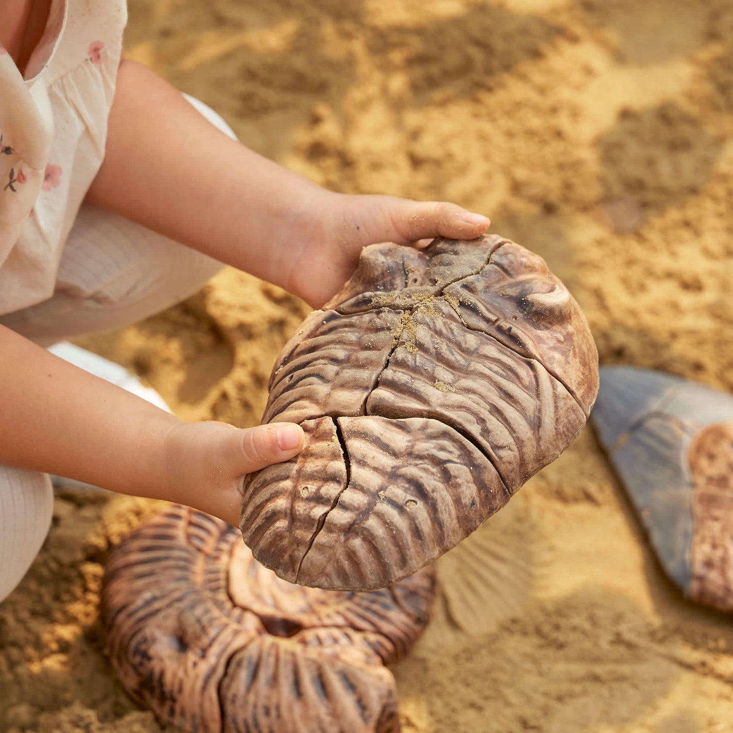 Magnetic Fossil 3D Puzzle